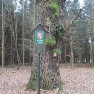 Ten je obrovskej