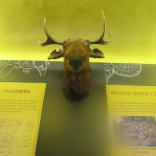 Muzeum Polabí
