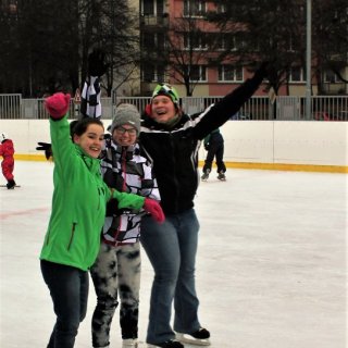 Bruslení