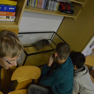 Vánoční besídka