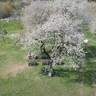 Horní Raškovice - rozhledna Baborka