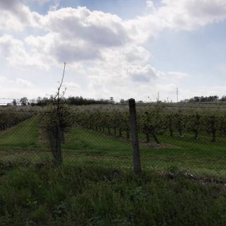 Horní Raškovice - rozhledna Baborka