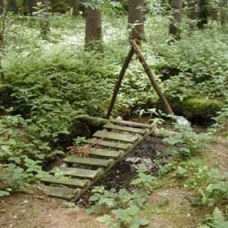 Chvilka ekologie aneb kam s ním?