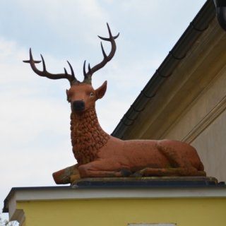 Cesta na Avalon